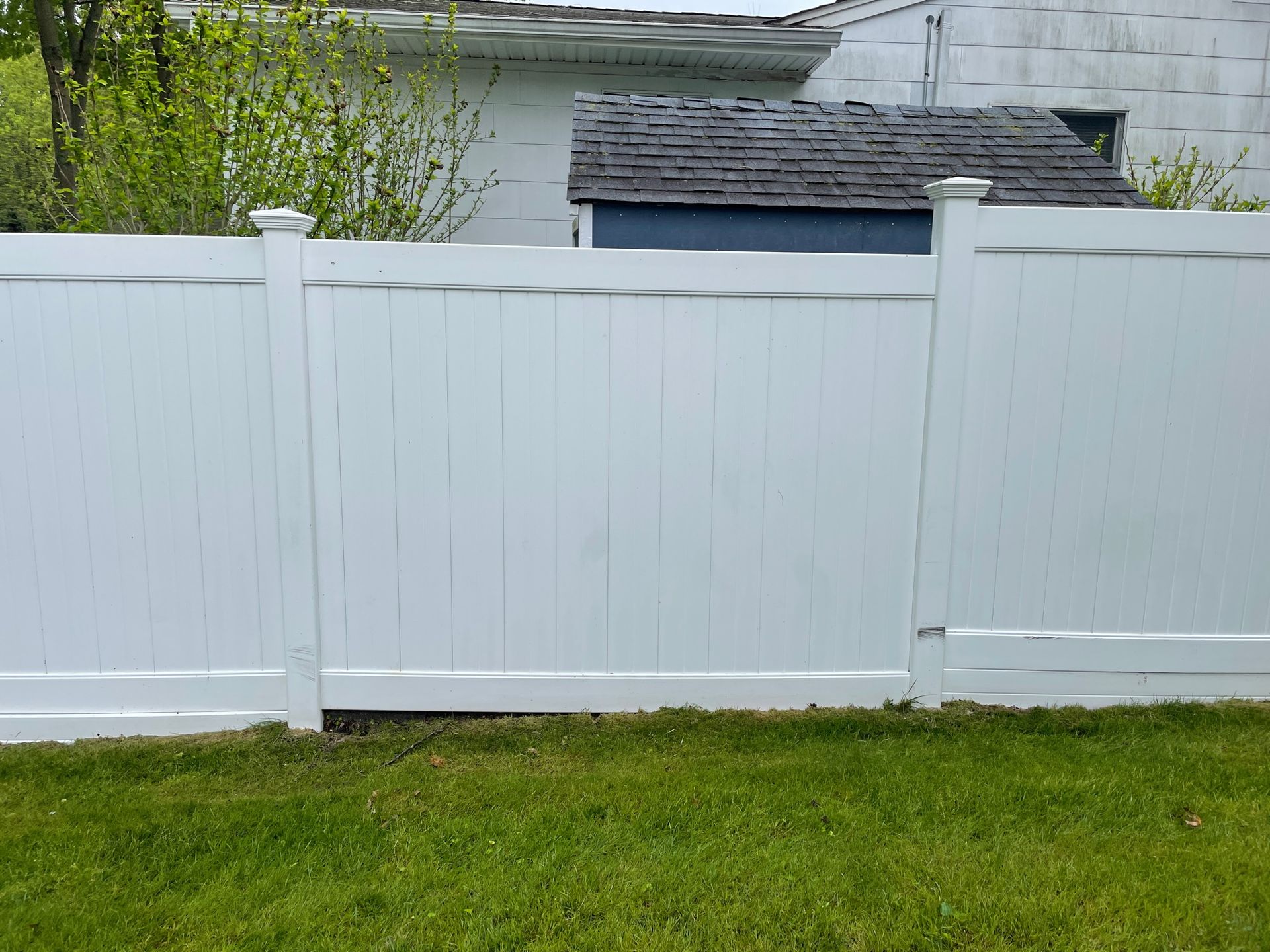 White fence with green algae, in a backyard with grass, and a wooden table after.