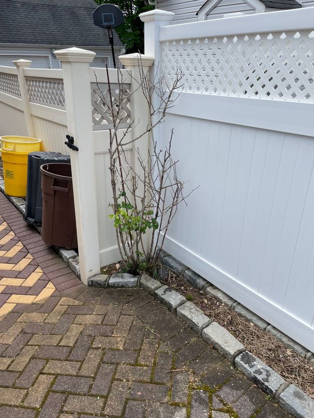 Pressure washing services - after