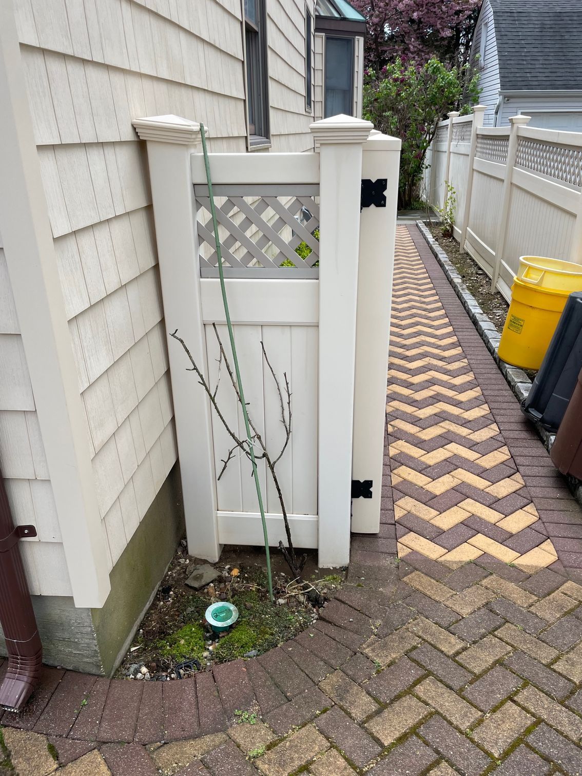 Moldy siding on a house corner next to a brown gutter and a white fence with a rose bush and green moss after.