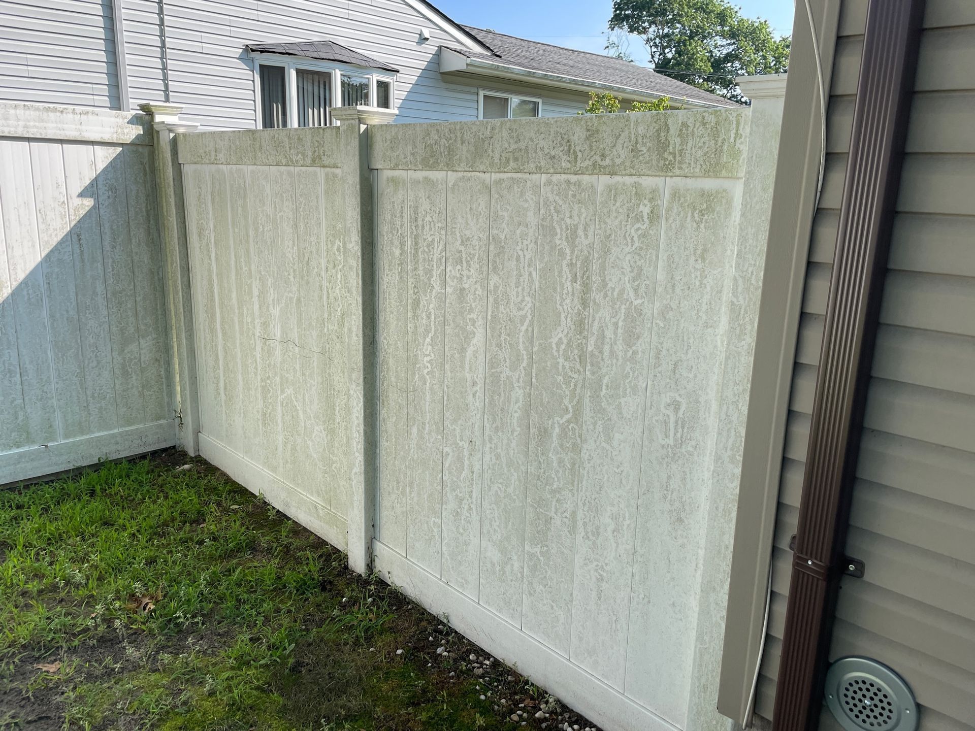 White vinyl fence covered in green algae; adjacent to a light brown house before.