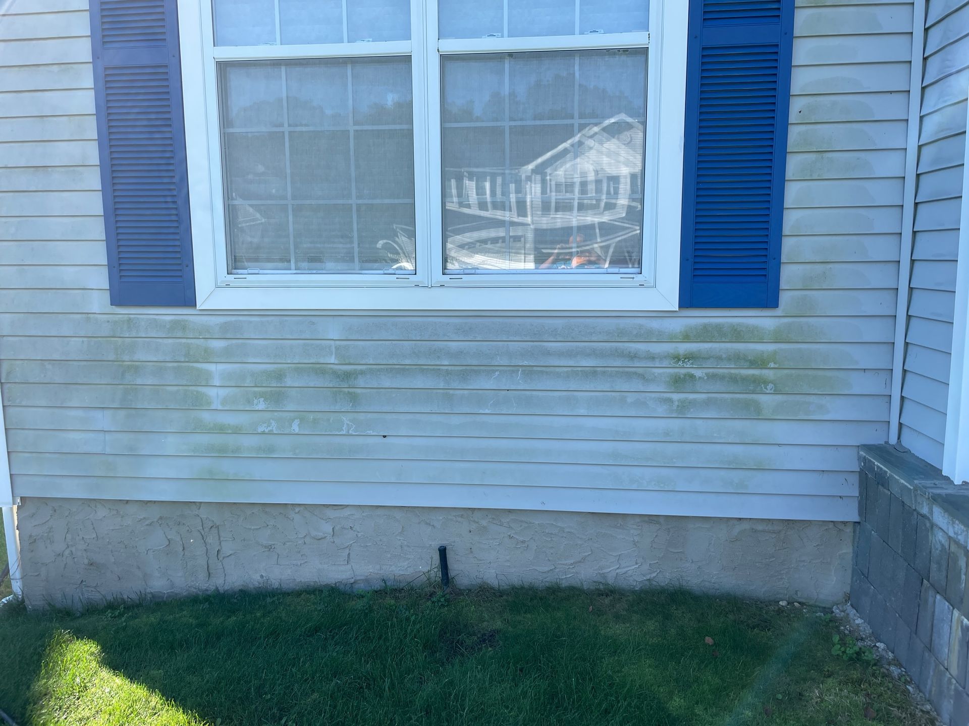 Light blue siding with green algae, blue shutters, and a window before.