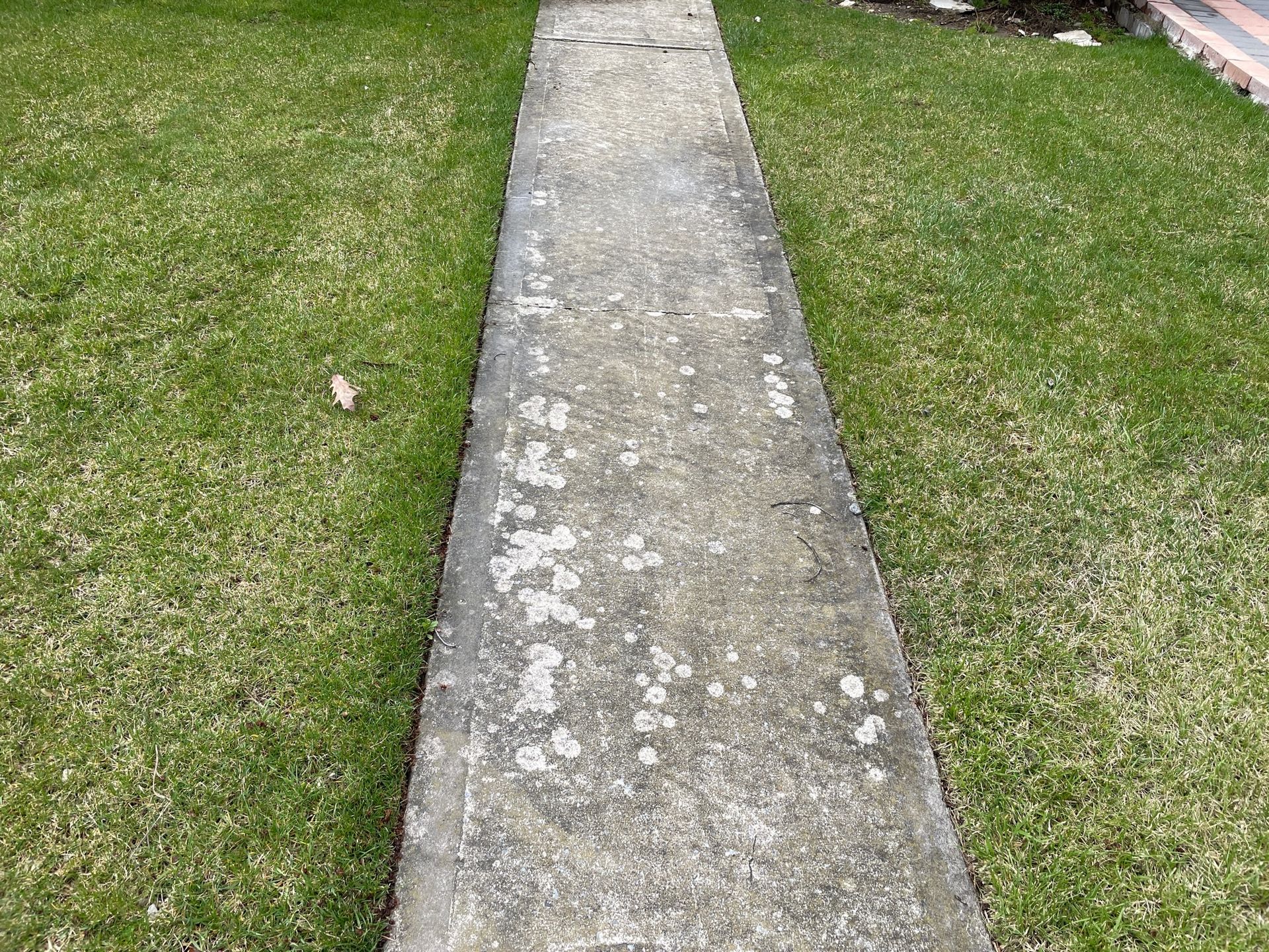 Concrete walkway through green grass before.