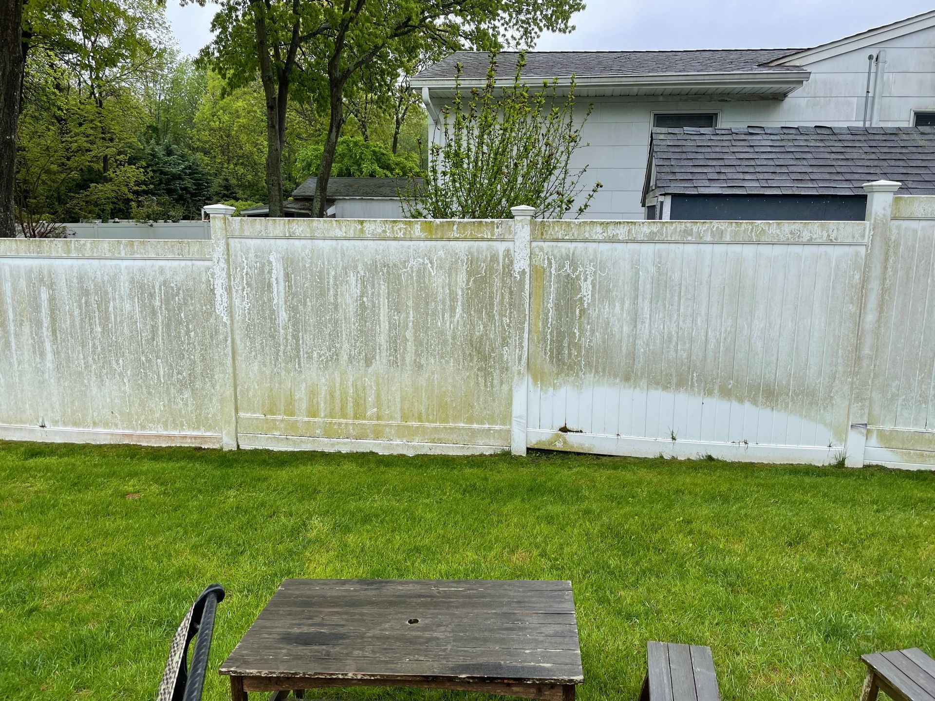 White fence with green algae, in a backyard with grass, and a wooden table before.