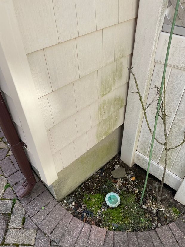 Pressure washing services - before