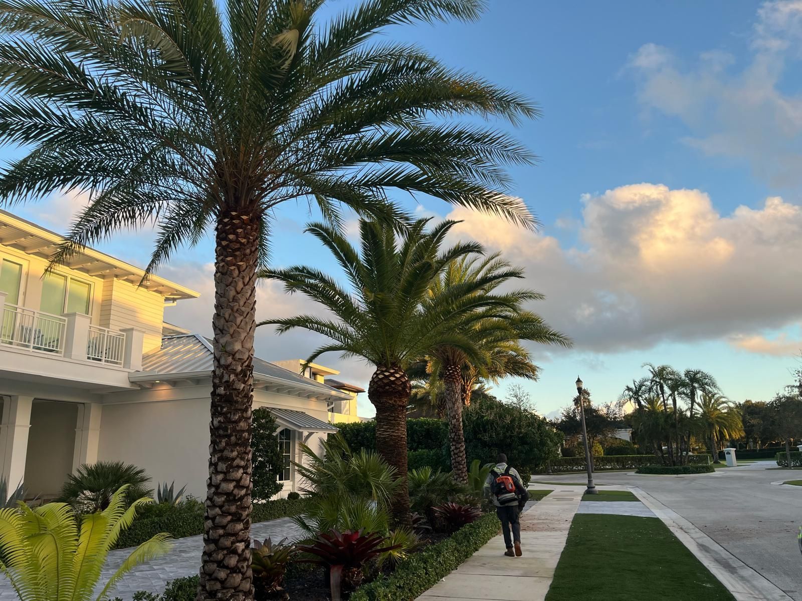 A sidewalk leads past a white house and a row of tall palm trees under a cloudy blue sky at sunset.