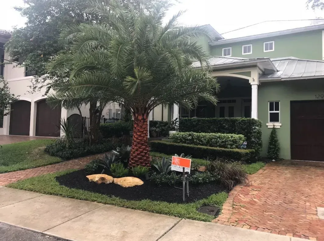 Palm tree and landscaped front yard of a two-story house with green and beige exterior.