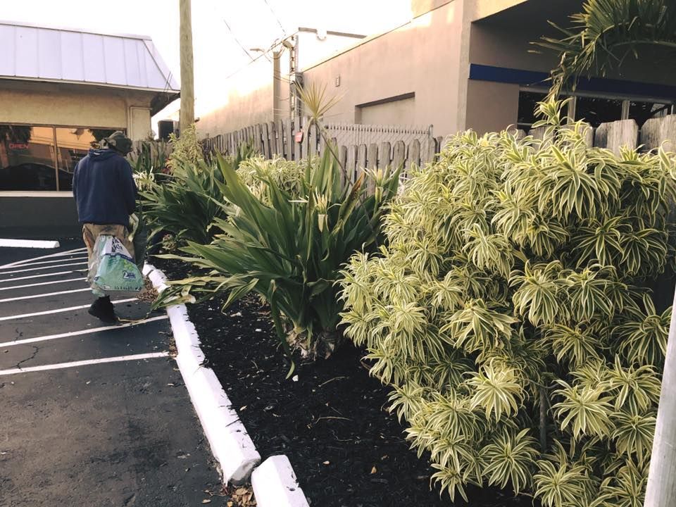 Person walking away from a building, carrying a bag. Lush green and yellow plants border a parking lot.