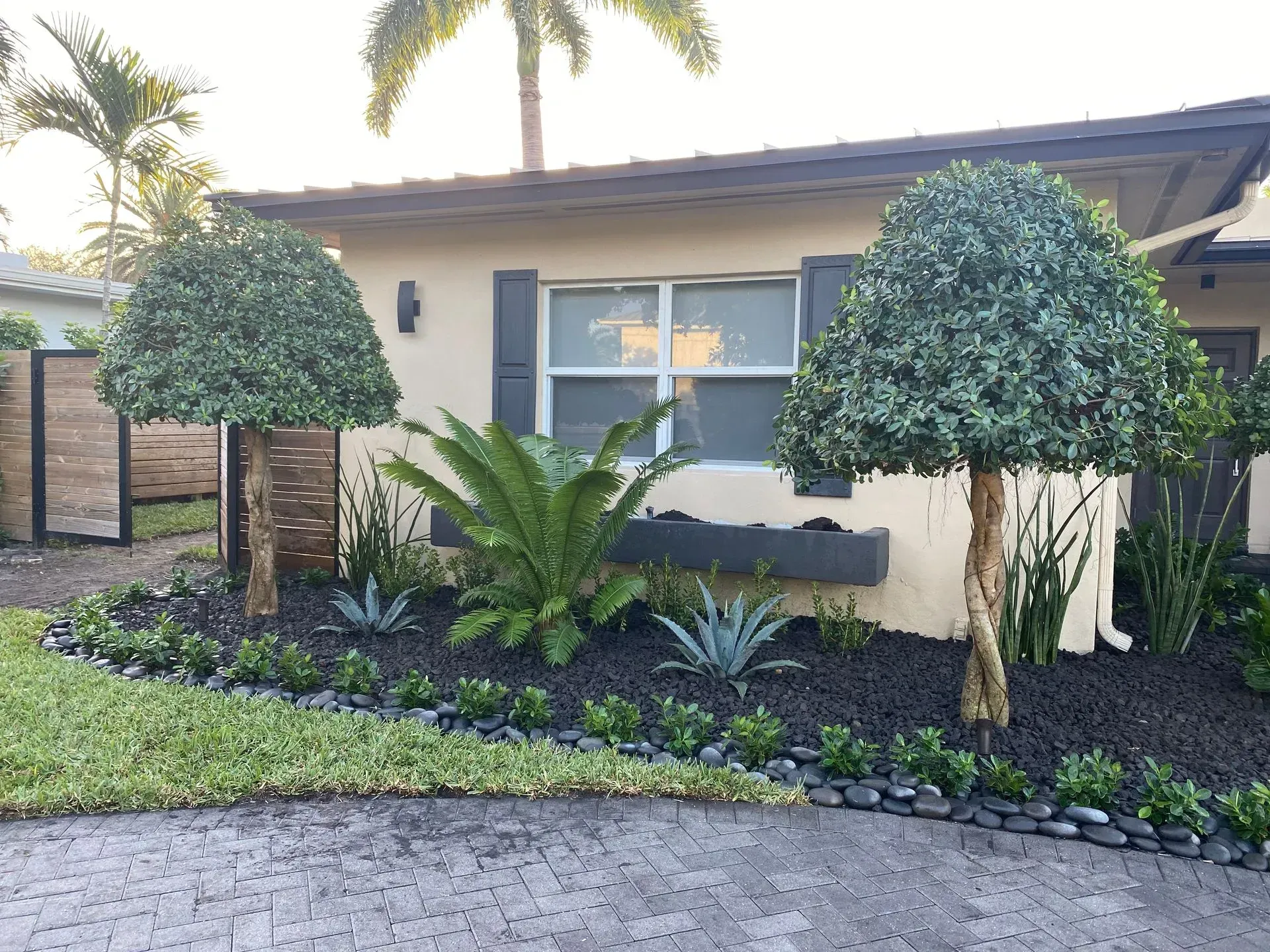 Landscaped front yard with two topiary trees, agave plants, and black mulch.