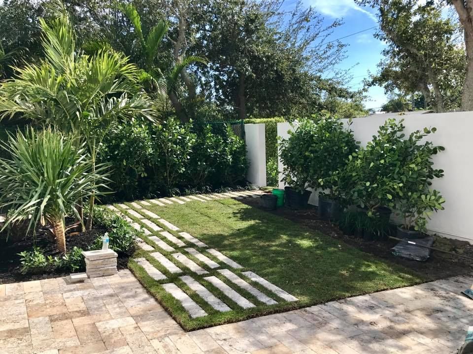 Backyard with stone path, green grass, and various tropical plants against a white wall and hedges.