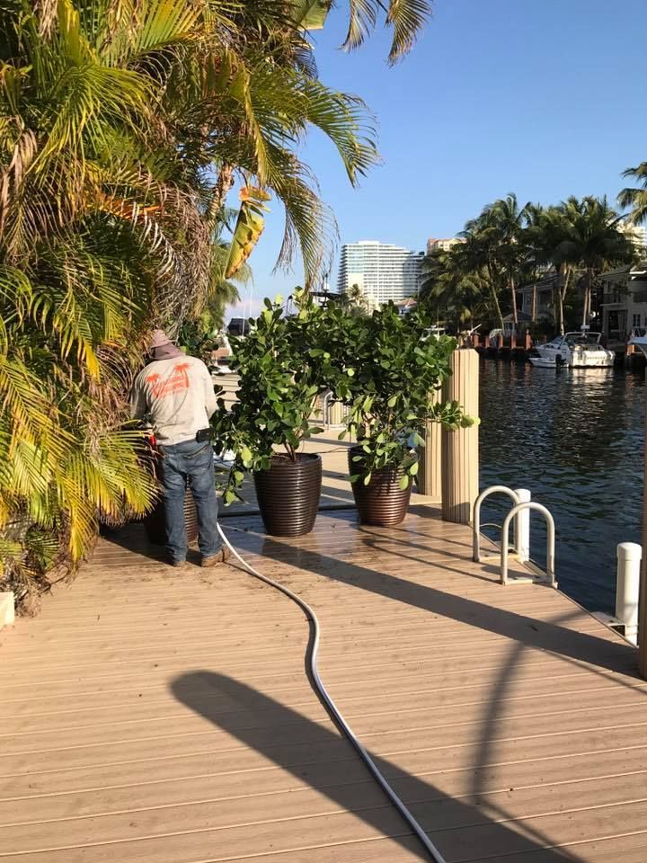 A person waters potted plants on a wooden dock next to a waterway, surrounded by lush vegetation and buildings.