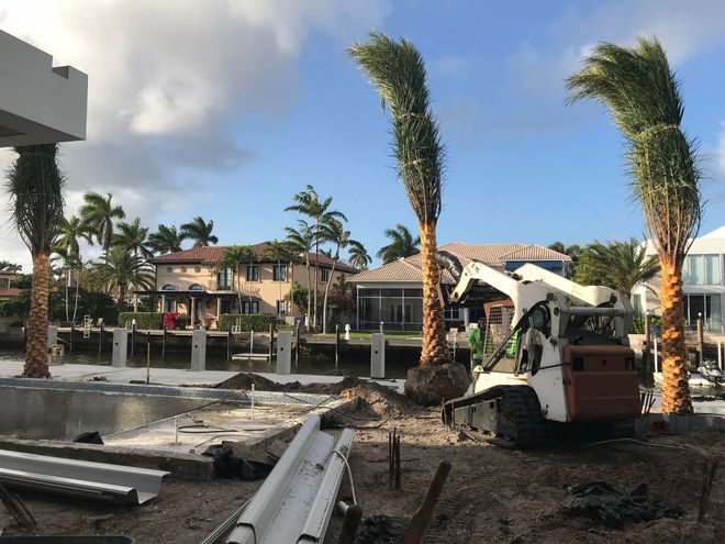 A small construction vehicle plants palm trees near waterfront homes on a sunny day.