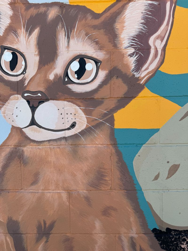 A close up of a painting of a cat on a wall