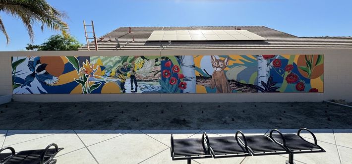 A large mural on a wall with a bench in front of it.