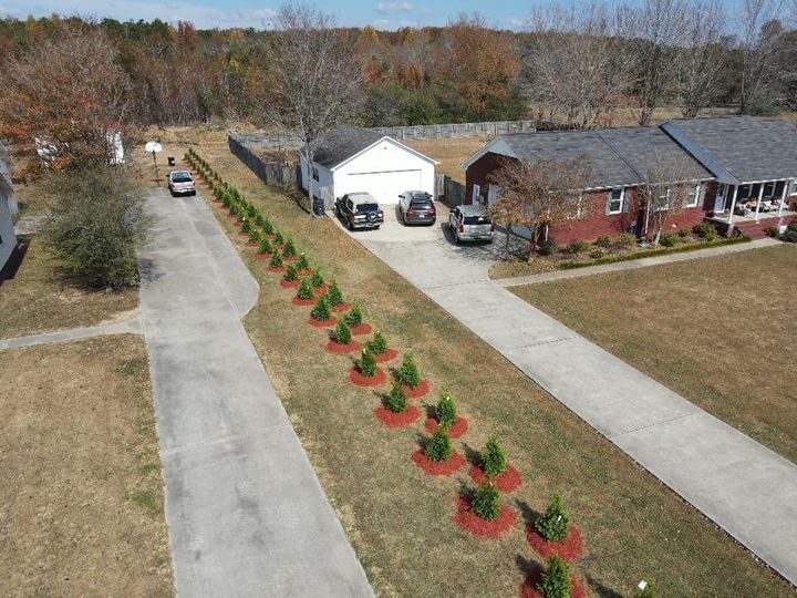 an aerial view of a house with a row of trees in front of it