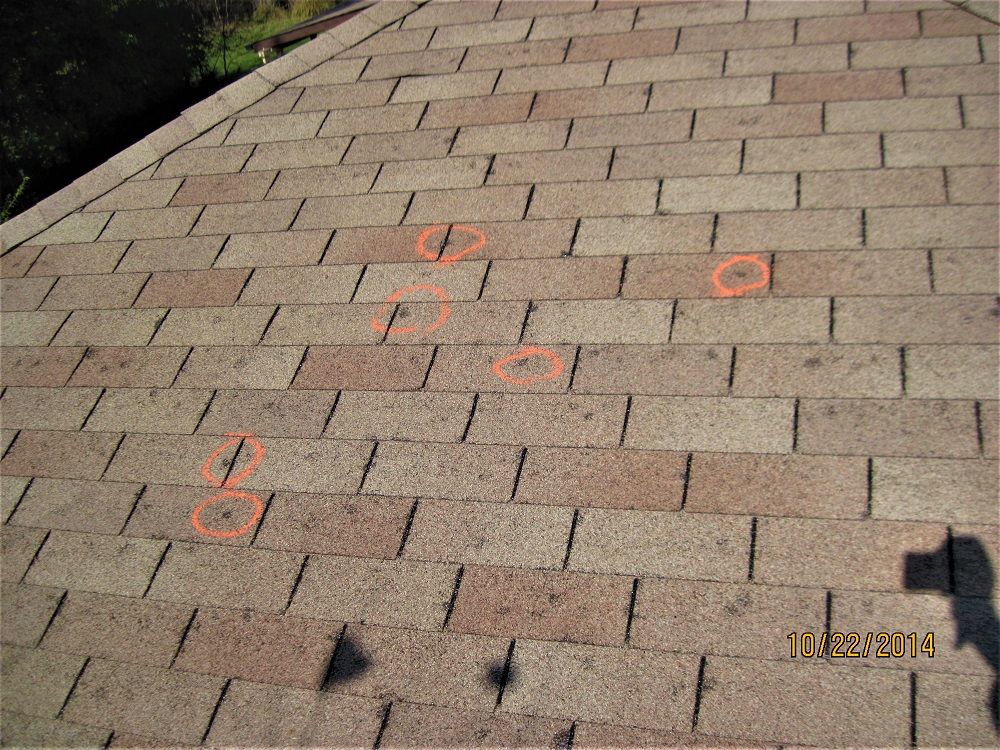 shingle roof