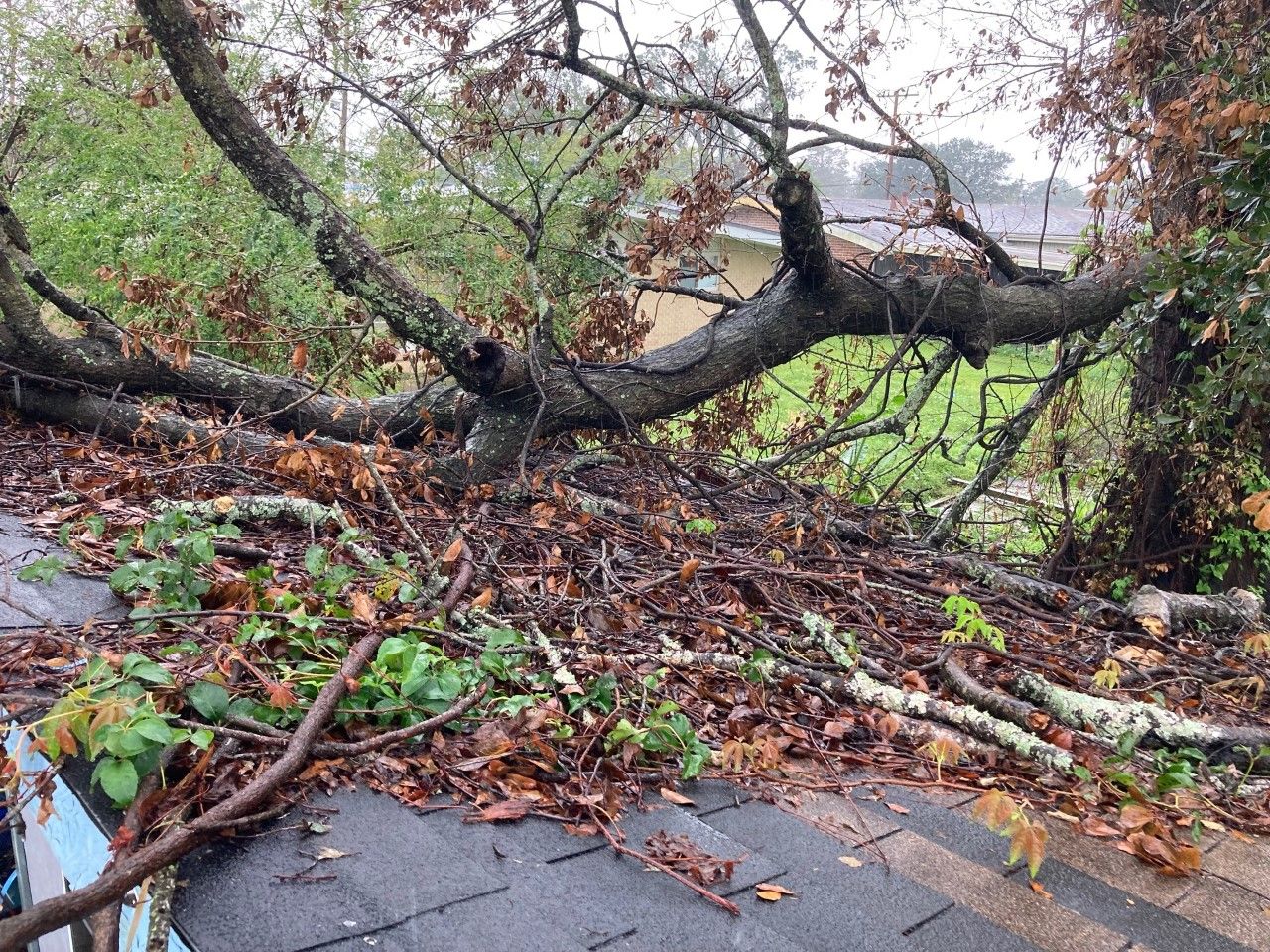 Storm Damage