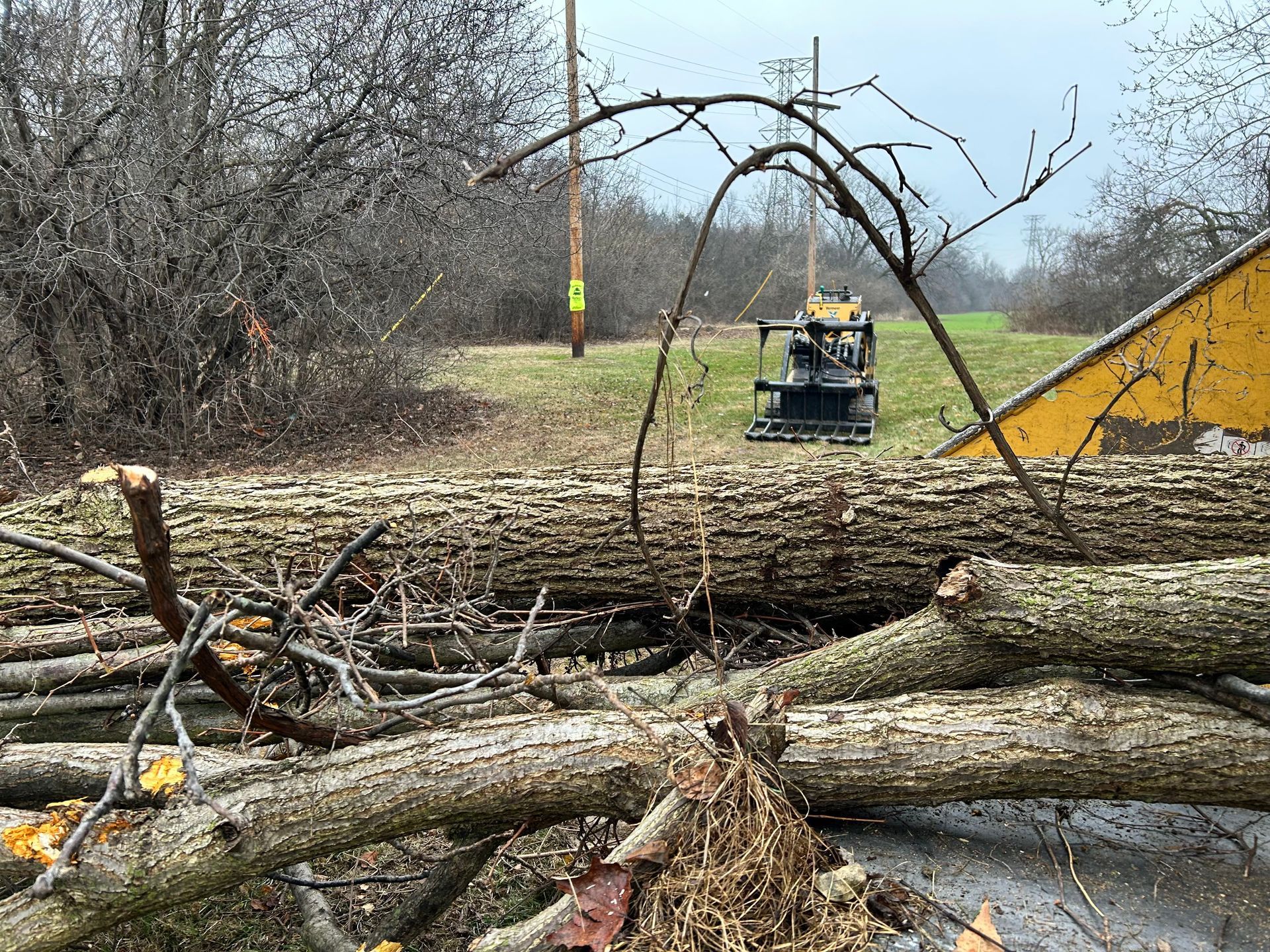A pile of logs in a field with a tractor in the background.
