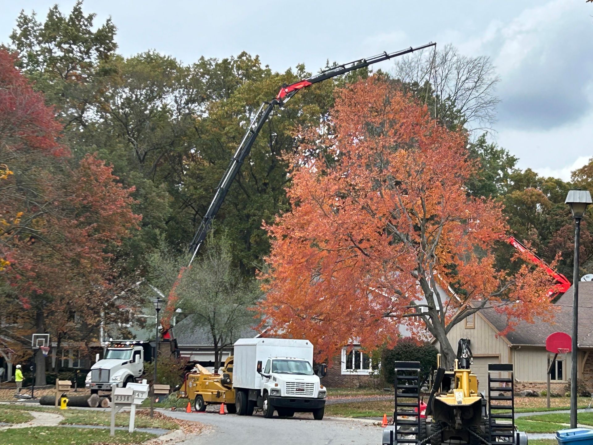 A truck with a crane attached to it is cutting a tree.