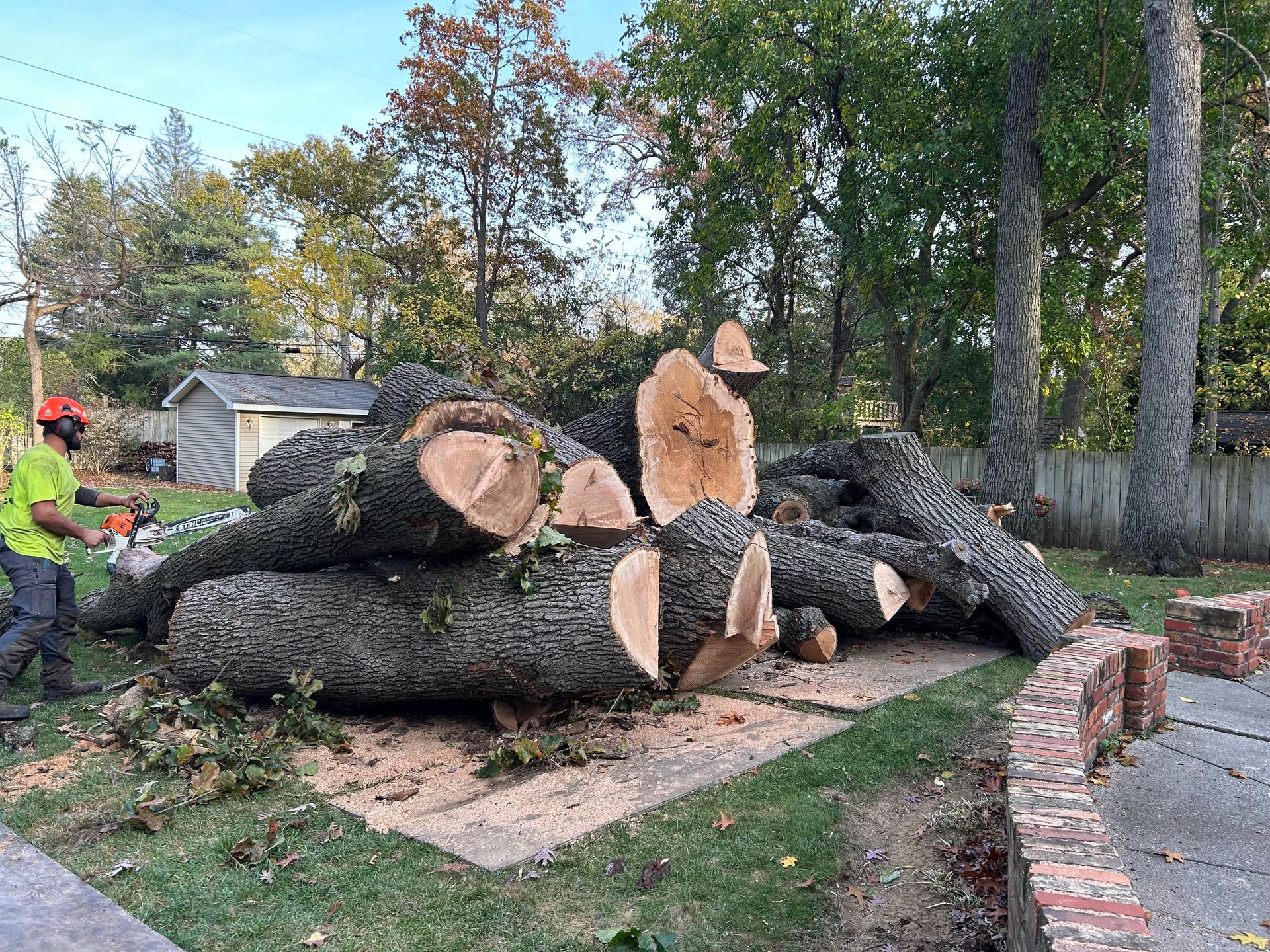 A man is standing next to a pile of logs in a yard.