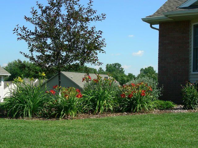 Landscaping