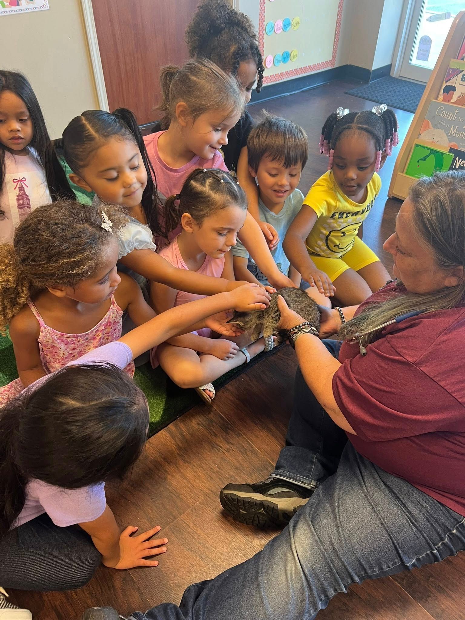 A group of children and an adult reach out to touch a small animal being held by the adult in a classroom setting.