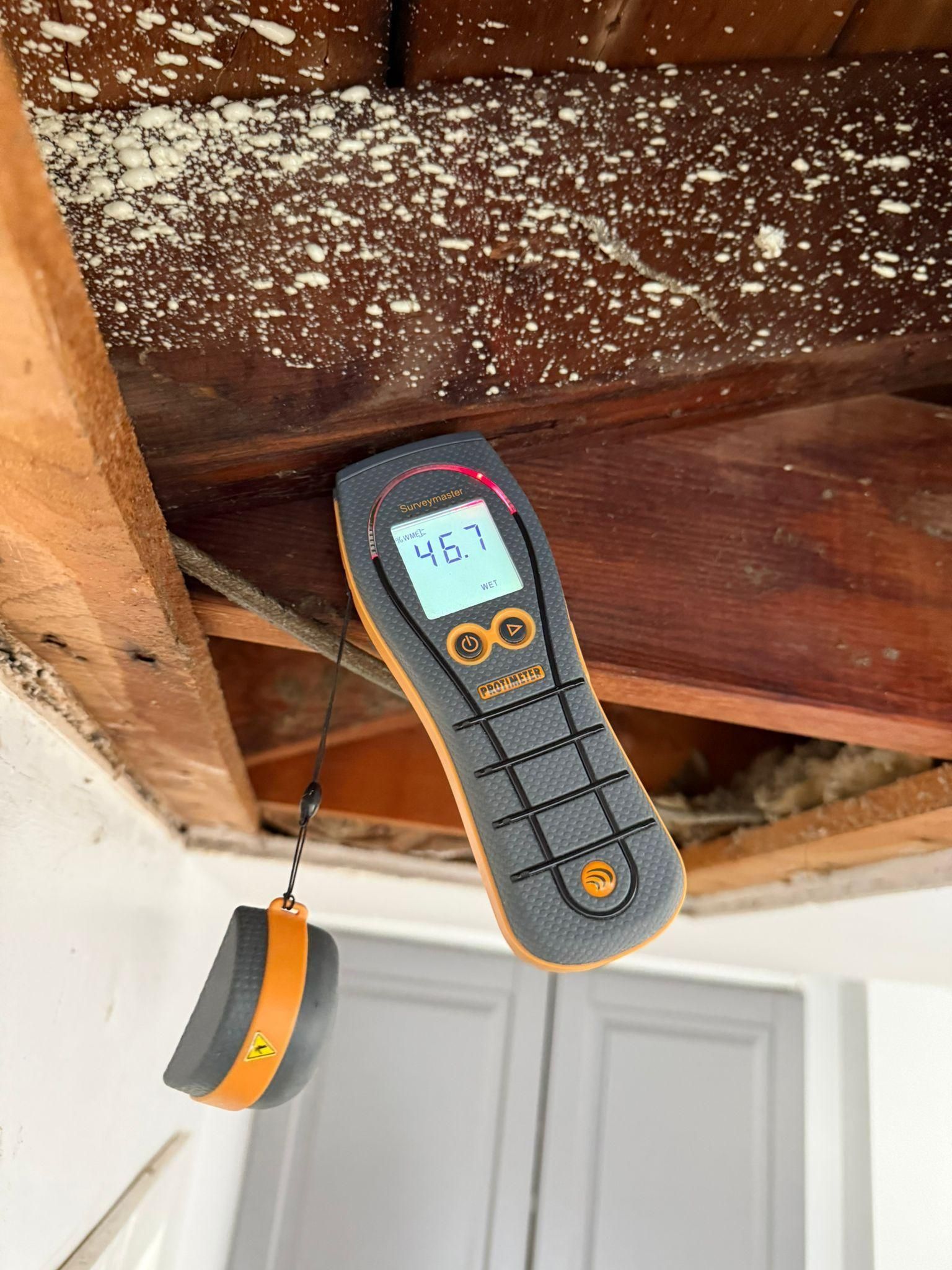 Digital moisture meter reading a wet wooden beam near ceiling mold spots