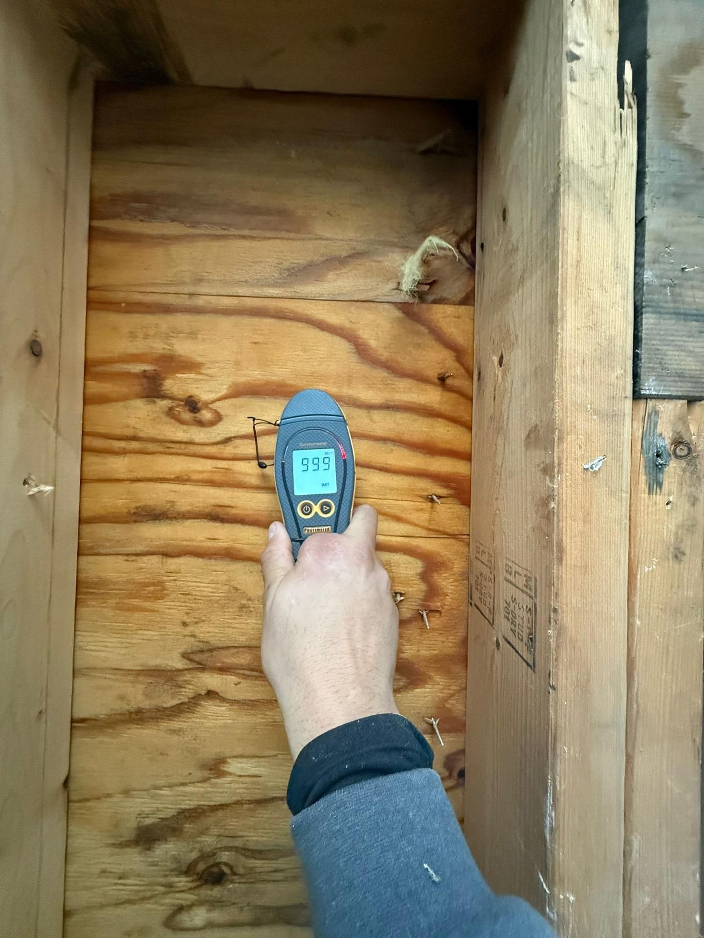 Hand holding a moisture meter against a wooden cabinet interior, showing a reading.