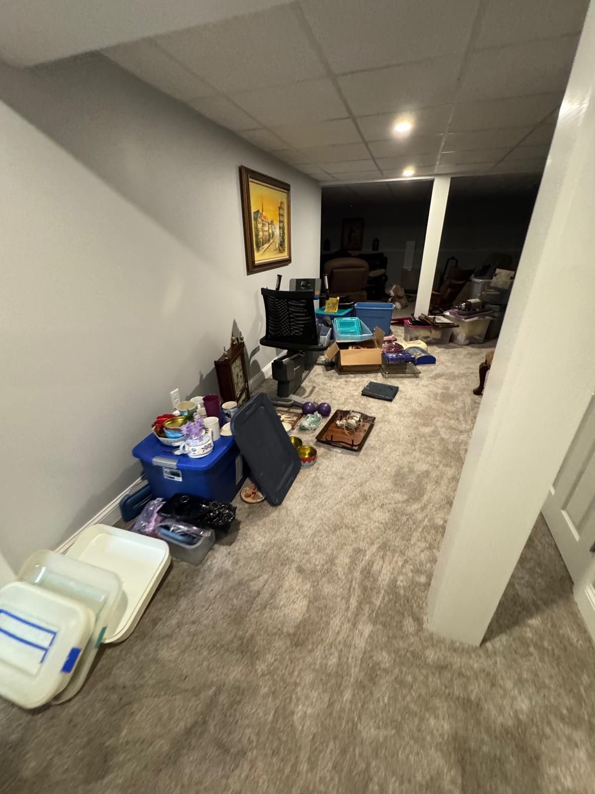Cluttered basement hallway with boxes, bins, and scattered household items on carpeted floor