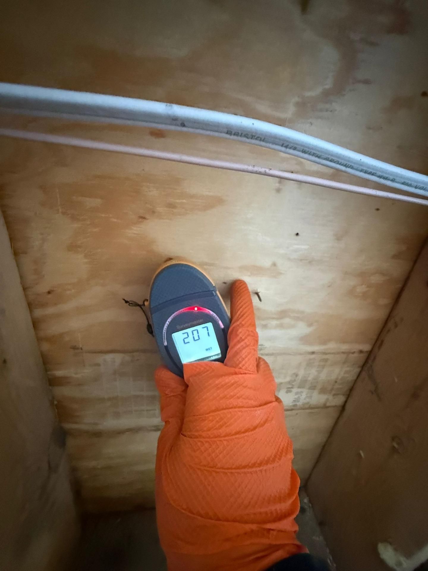 Gloved hand holding a thermometer reading 20.1°C against plywood wall and white cables