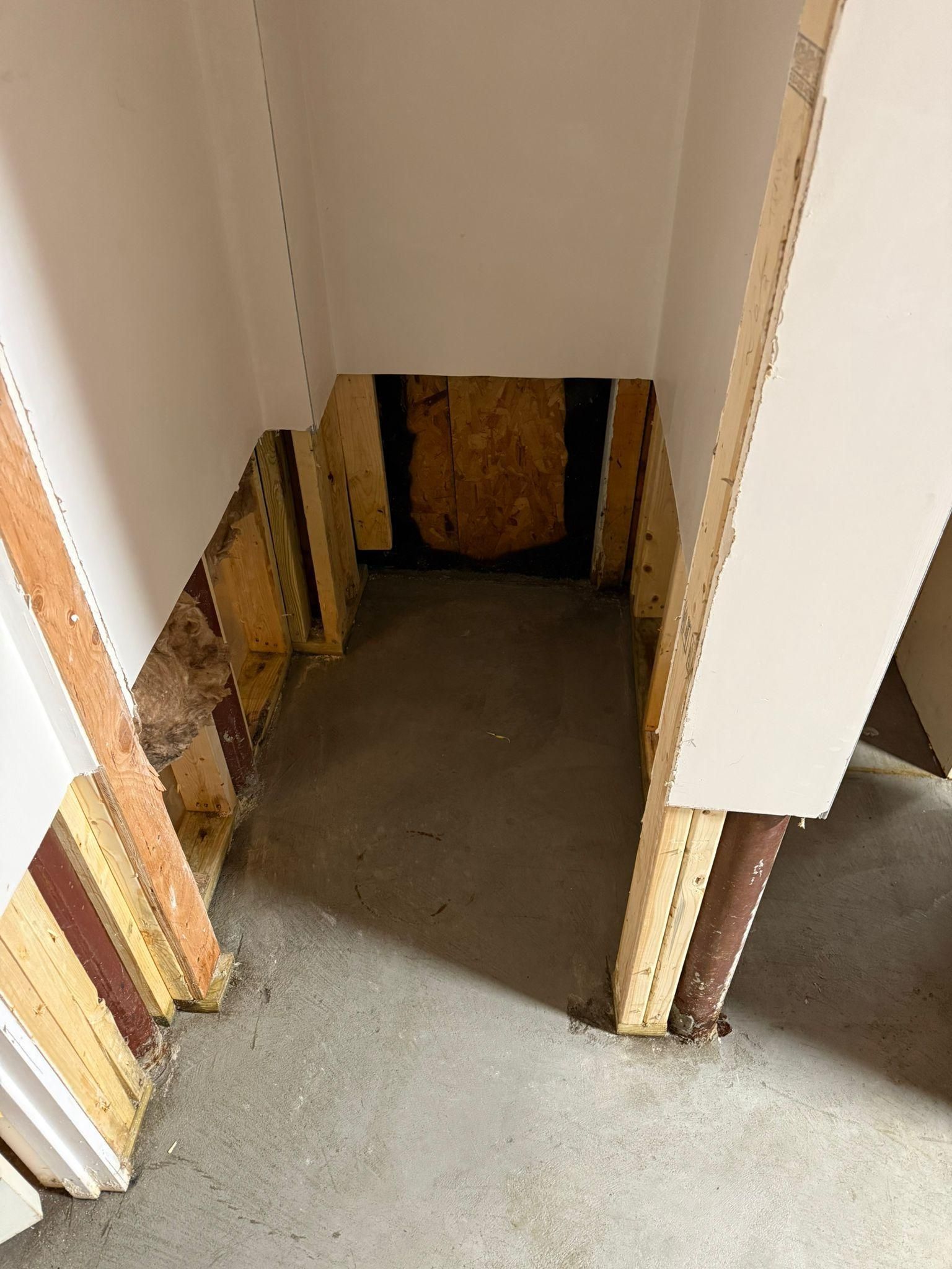 Narrow unfinished stairwell with exposed wood framing and a concrete floor leading downward