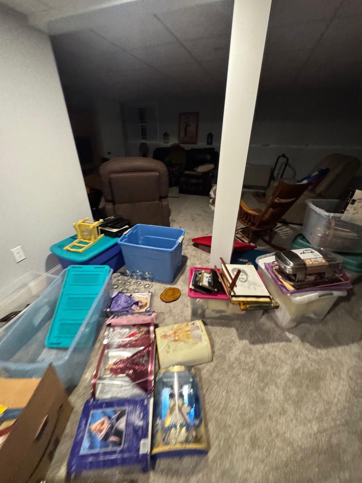 Basement living area cluttered with storage bins, boxes, and assorted items on carpet.