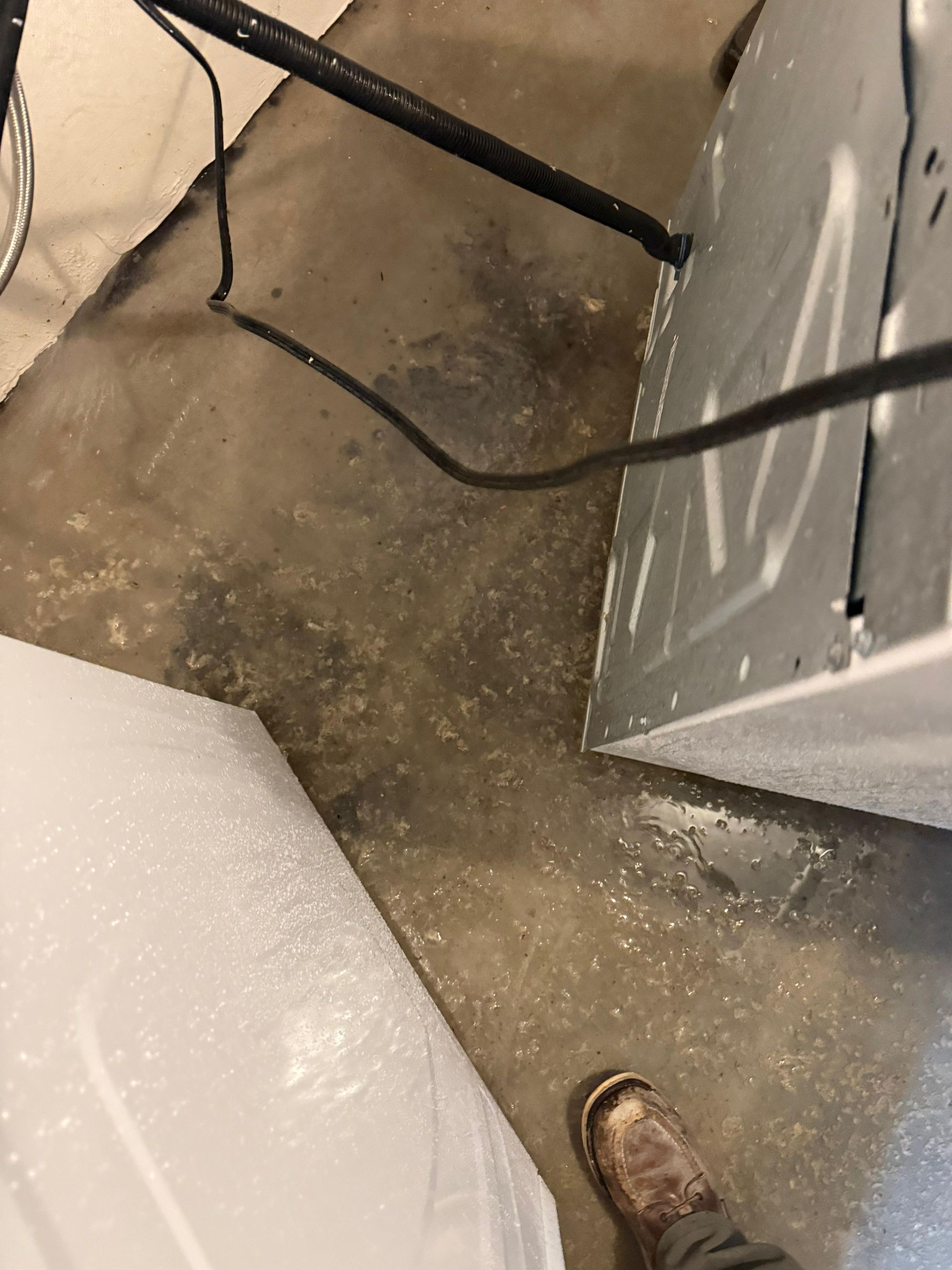 Concrete floor with a white cabinet, black cables, and a shoe at the bottom edge.