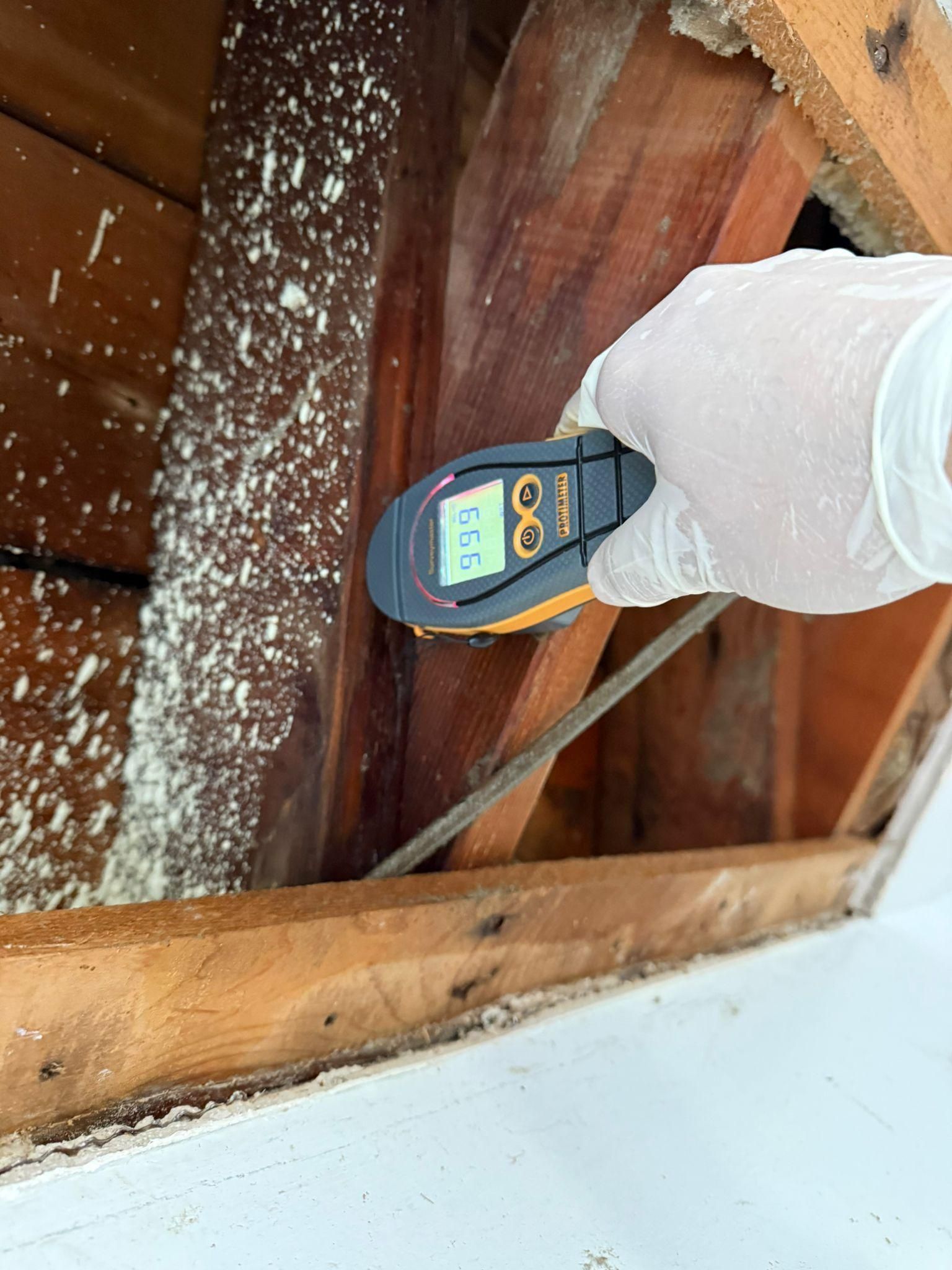 Gloved hand holding a handheld meter over a wooden attic floor with white debris nearby