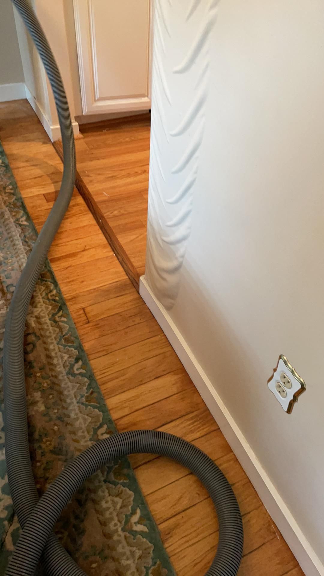 Vacuum hose on hardwood floor beside a white wall and rug edge