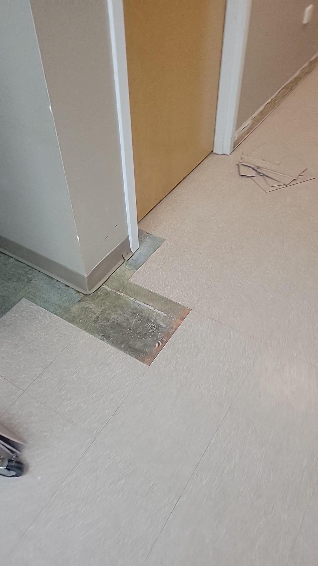 Hallway with beige carpet, damaged floor tile near a wall and door, and a loose cable on the floor