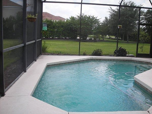 A screened-in patio overlooking a green lawn and trees, featuring a light-colored concrete deck around a blue swimming pool.