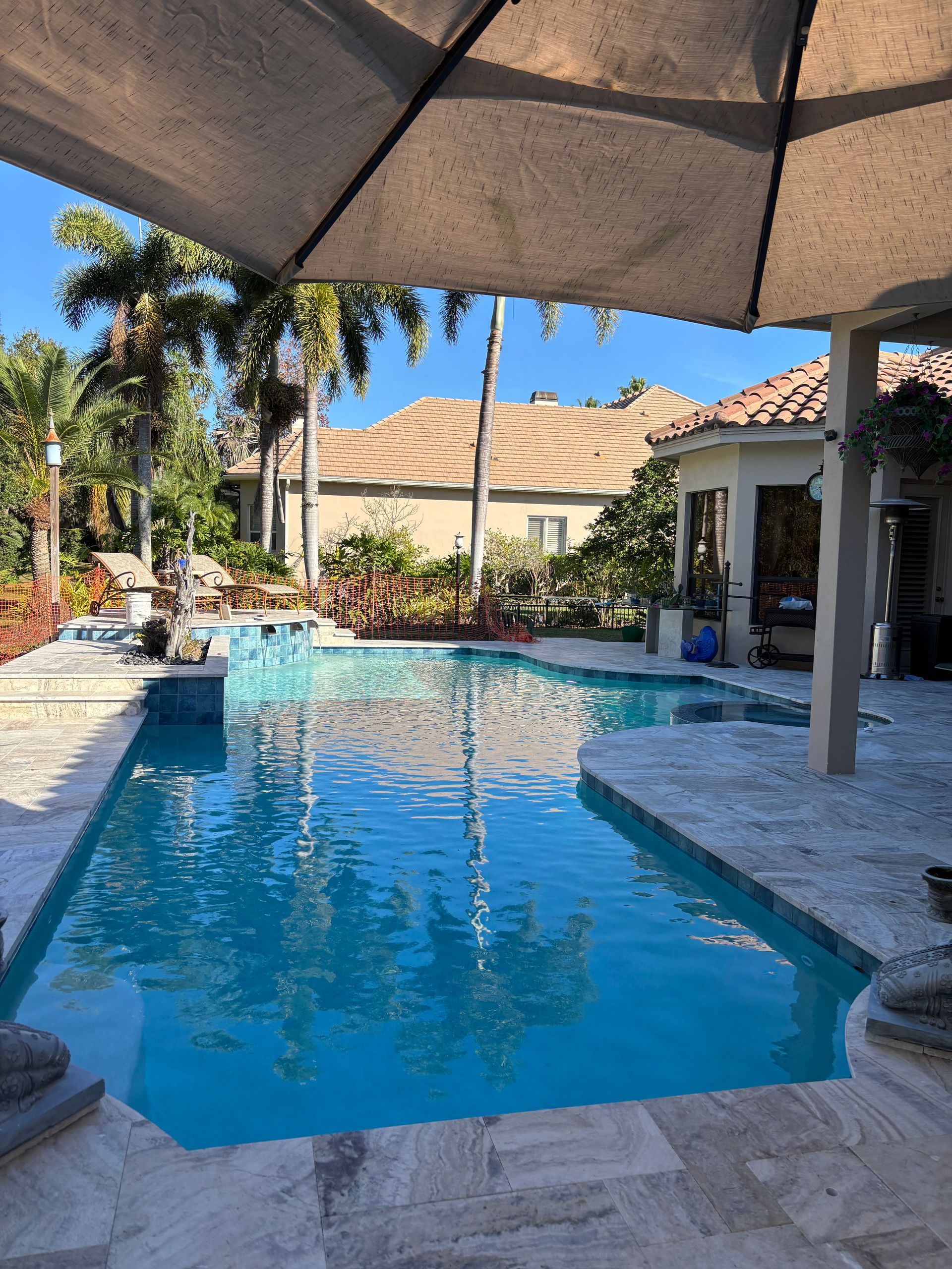 Backyard pool with turquoise water, patio umbrellas, palm trees, and a house in the background