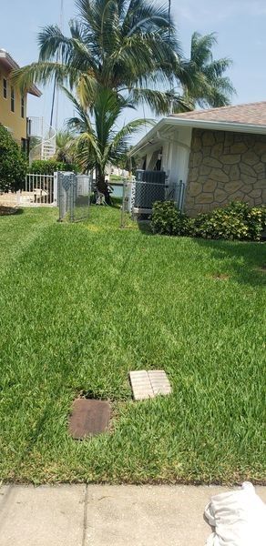 A lush green lawn in front of a house with a palm tree in the background.