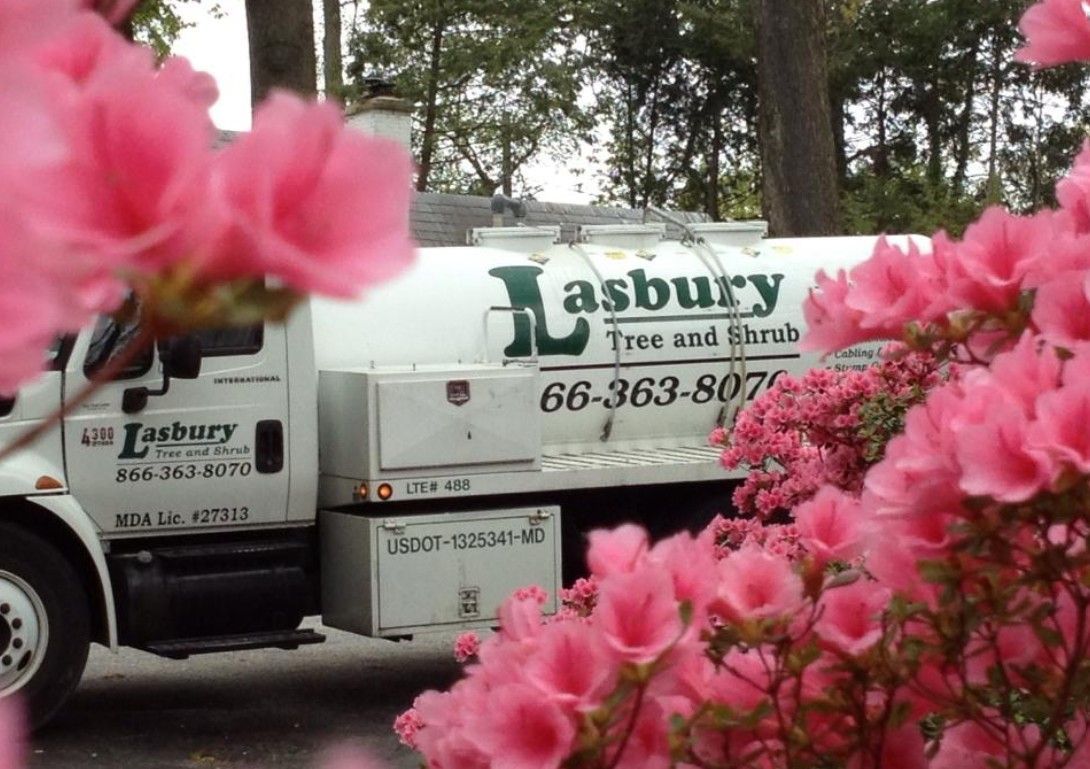 Lasbury Tree and Shrub truck behind pink azalea bushes