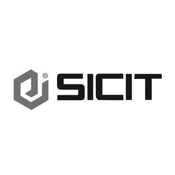 Sicits