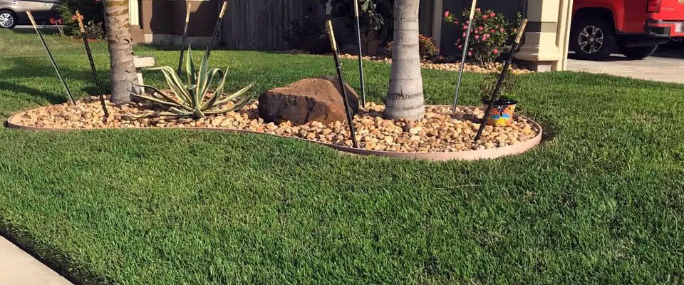 St Augustine sod installation