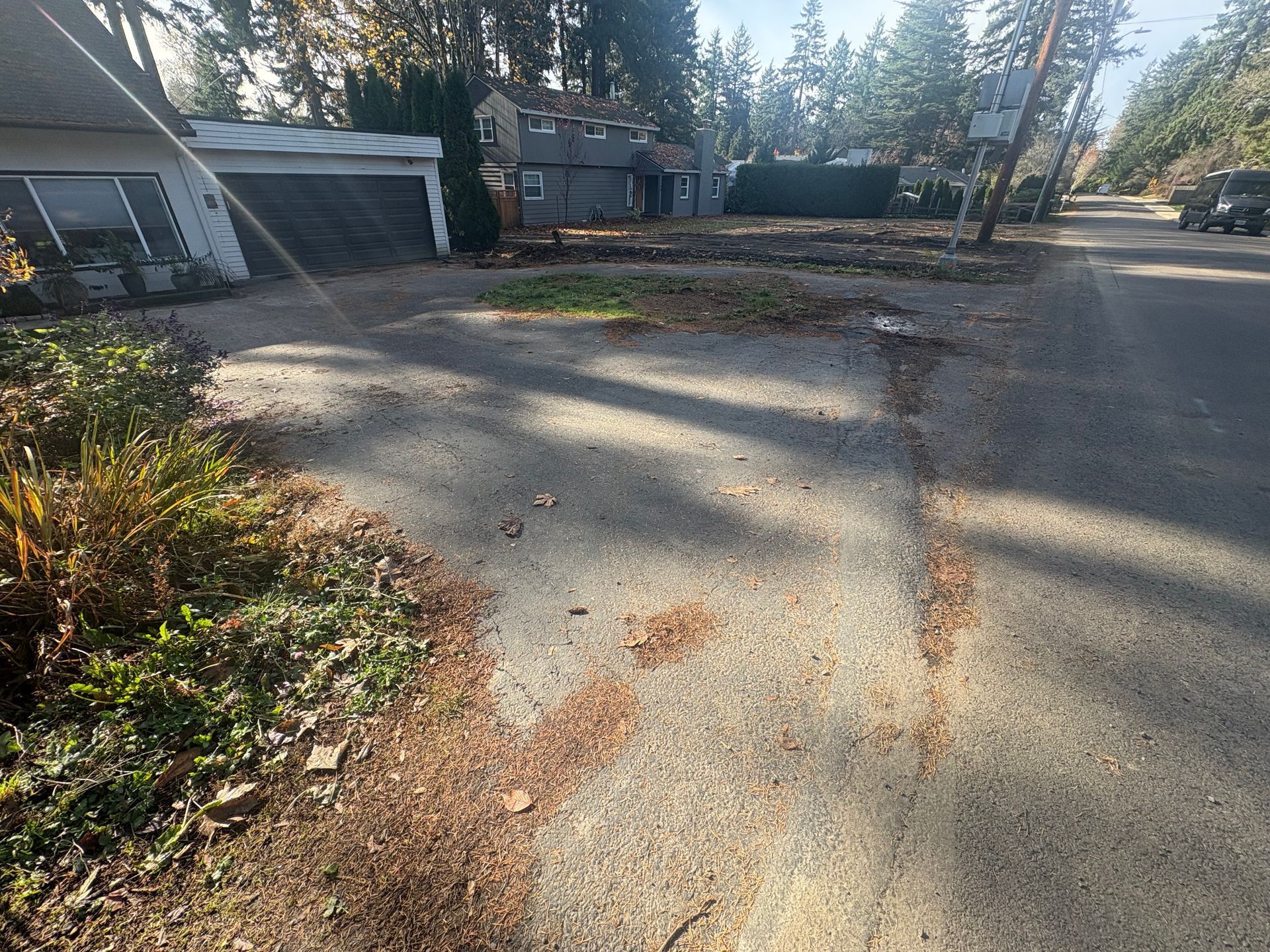 Yard maintenance before