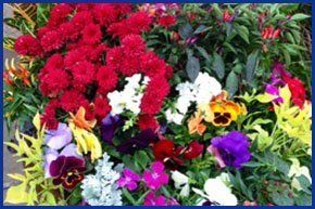 Spring | Weatherford, TX | Weatherford Farmers Market | 817-246-7525