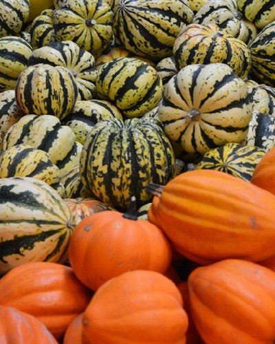 Weatherford Farmers Market photo 21