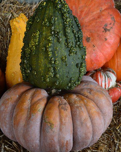 Weatherford Farmers Market photo 26