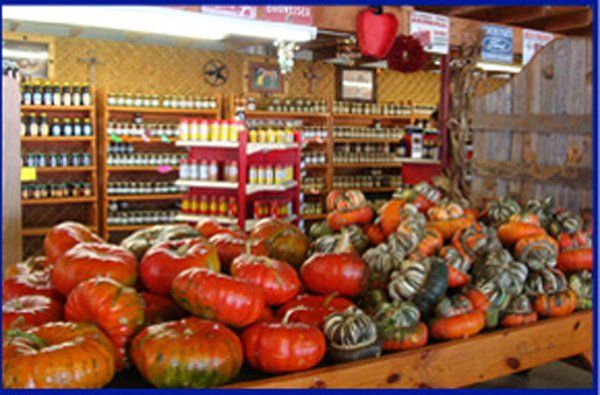 Farmer's market | Weatherford, TX | Weatherford Farmers Market | 817-246-7525