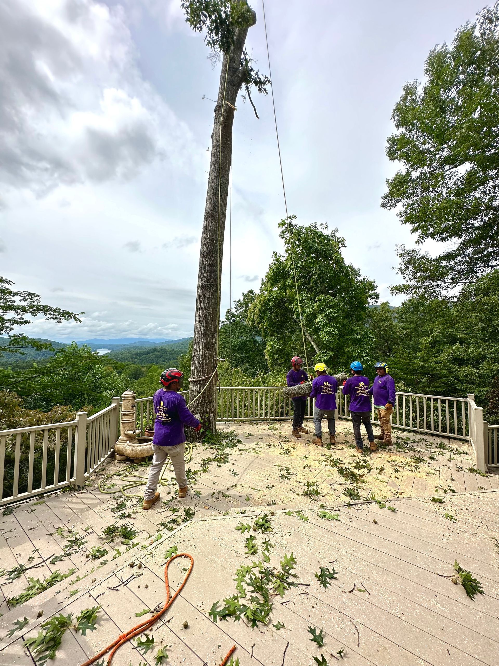 Tree removal crew on a deck, cutting a tall tree. Crew in purple shirts, sunny day, deck with railing, mountain view.