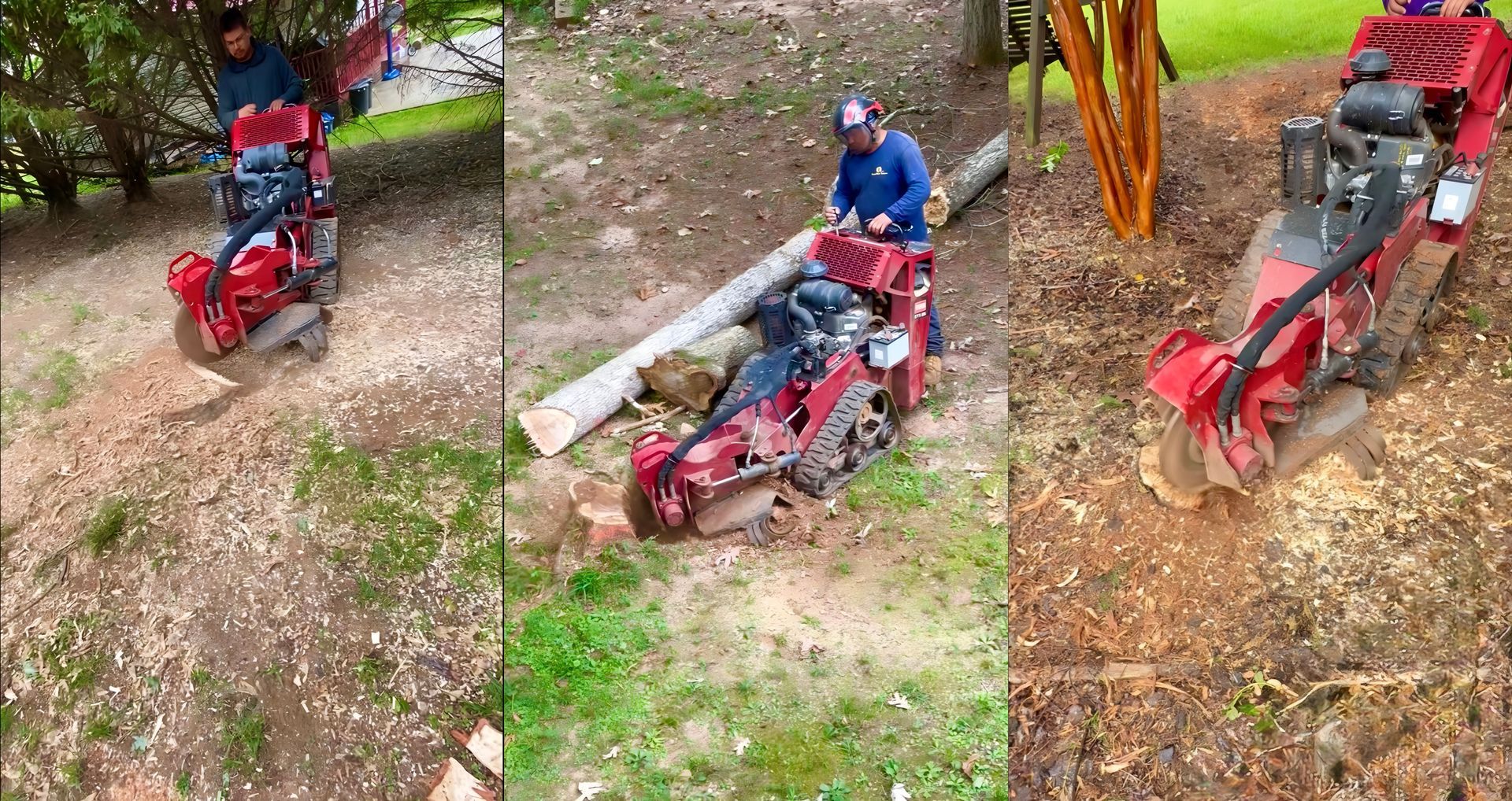 Guardian Stone and Tree Care