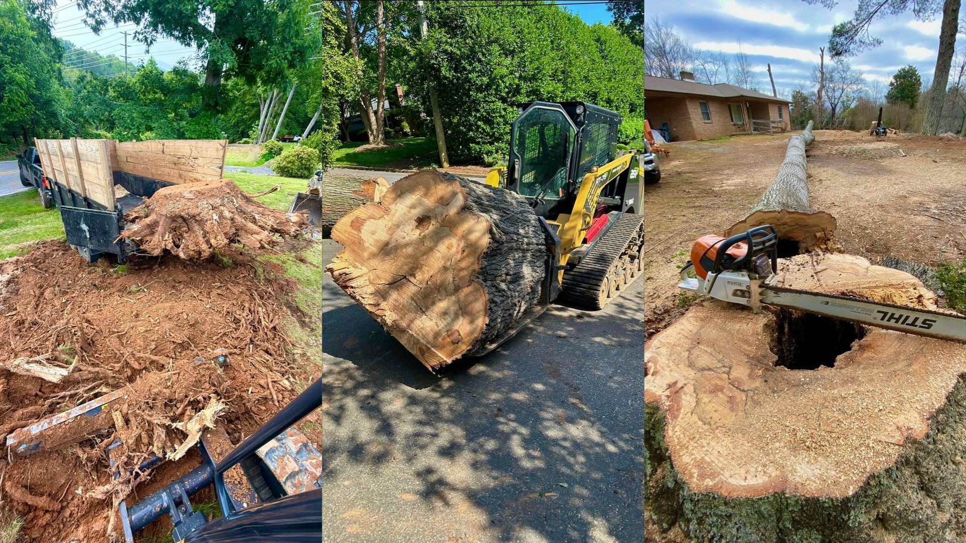 Guardian Stone and Tree Care