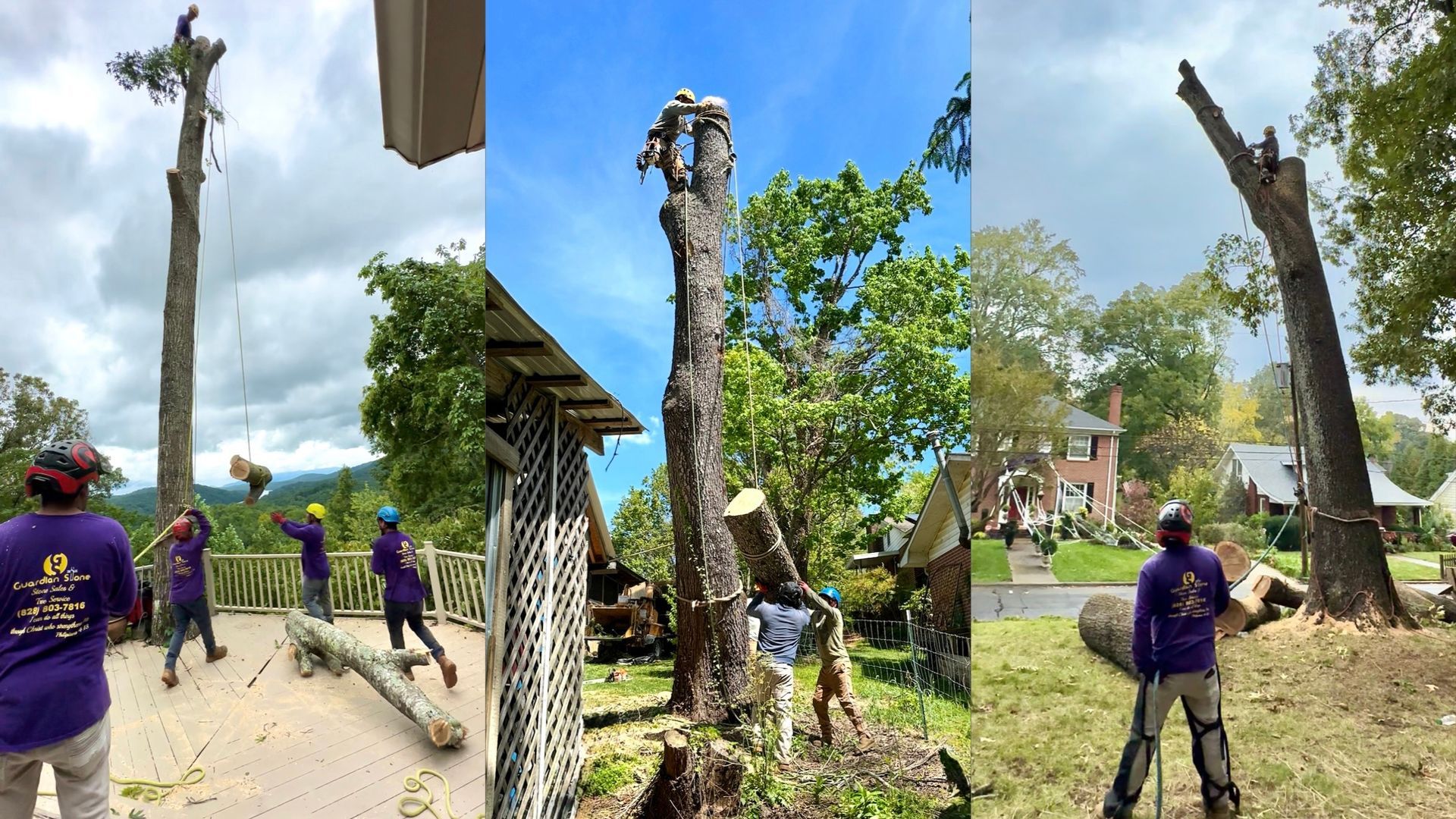 Guardian Stone and Tree Care